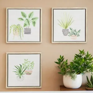 3 Pack Painted Houseplant Canvas prints