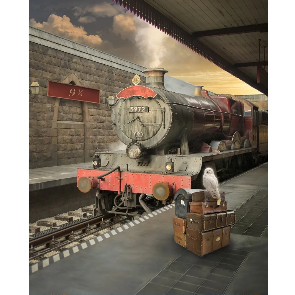 Platform 9 3/4 Printed Backdrop